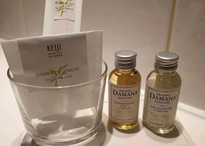 Design Des Francs Garcons Hotel Saint-Sauvant (Charente-Maritime)